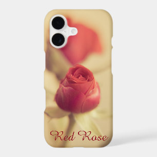 A Red Rose for your Sweetheart...