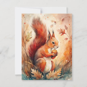A Red Squirrel eating a nut Postcard