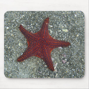 A Red Starfish   Galapagos, Equador Mouse Pad