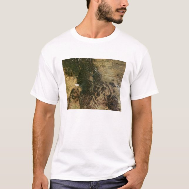 A relatively clear day T-Shirt (Front)