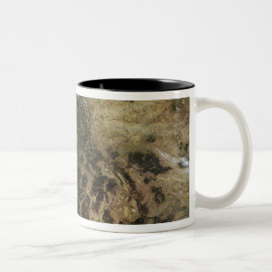A relatively clear day Two-Tone coffee mug