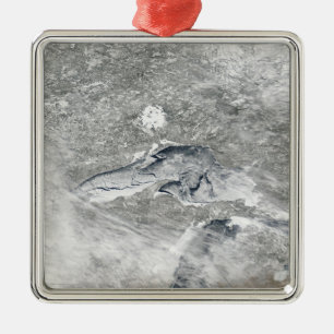 A relatively rare blanket of ice metal ornament