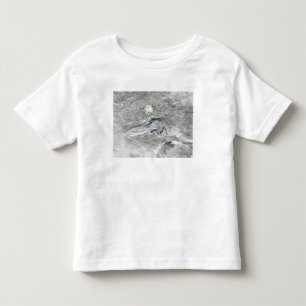 A relatively rare blanket of ice toddler t-shirt