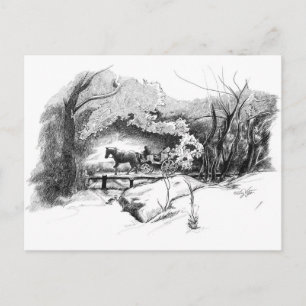 A Ride Through Central Park Postcard