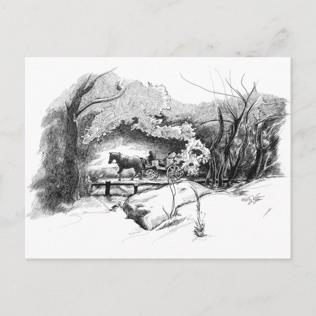 A Ride Through Central Park Postcard (Front)