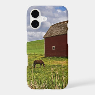 A ride through the farm country of Palouse 3