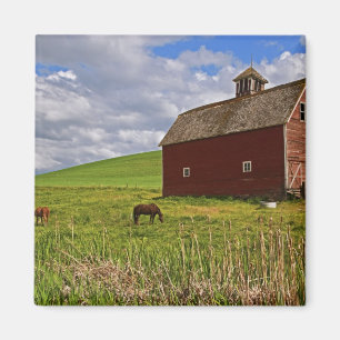A ride through the farm country of Palouse 3 Magnet