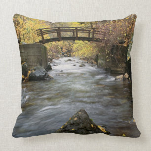 A River Running Through American Fork Canyon Throw Pillow