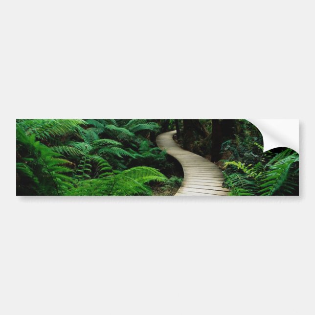 A road in the middle of the wild forest bumper sticker (Front)