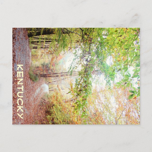 A Road Less Travelled by JerseyFawn Postcard (Front)
