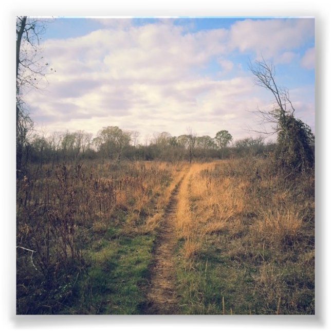 A road less travelled photo print (Front)
