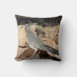 A Road runner pauses momentarily on its search Throw Pillow
