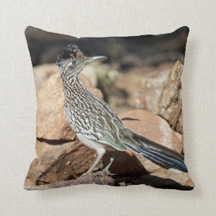 A Road runner pauses momentarily on its search Throw Pillow