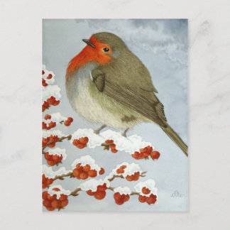 A Robin and berries in the snow Postcard