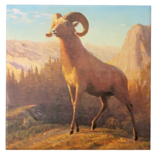 A Rocky Mountain Sheep by A. Bierstadt Tile