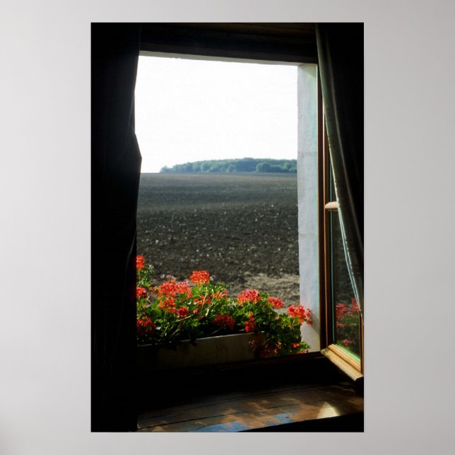 A Room With A View Poster (Front)