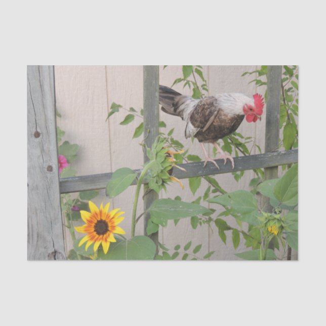 A Rooster Inspecting Sunflowers Tissue Paper (Front)