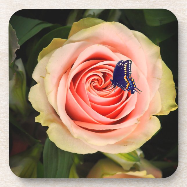 A rose and a butterfly coaster (Front)