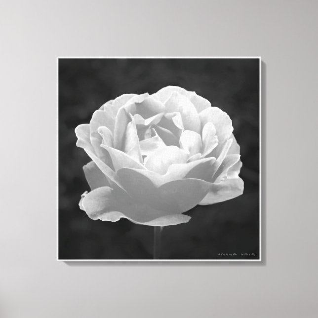 A rose by any other name..., fine art canvas print (Front)