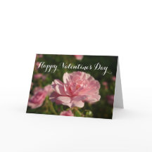 A rose for a rose happy Valentine's Day