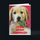*A ROSE* FOR MY GRANDDAUGHTER "YOUR BIRTHDAY CARD<br><div class="desc">SOME TIMES WE CAN'T SEE YOUR **GRANDDAUGHTER** IN PERSON IT IS SO "NICE" TO BE ABLE TO SEND A CARD. THIS DOG IS SO EXCITED THAT YOU CHOSE HIM TO HELP YOU TODAY~~ THANK YOU FOR STOPPING BY ONE OF MY EIGHT STORES AND HAVE A GREAT DAY!</div>