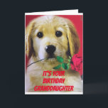 *A ROSE* FOR MY GRANDDAUGHTER "YOUR BIRTHDAY CARD<br><div class="desc">SOME TIMES WE CAN'T SEE YOUR **GRANDDAUGHTER** IN PERSON IT IS SO "NICE" TO BE ABLE TO SEND A CARD. THIS DOG IS SO EXCITED THAT YOU CHOSE HIM TO HELP YOU TODAY~~ THANK YOU FOR STOPPING BY ONE OF MY EIGHT STORES AND HAVE A GREAT DAY!</div>