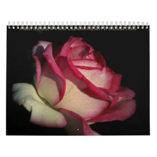 a rose is a rose is a rose calendar for 2014