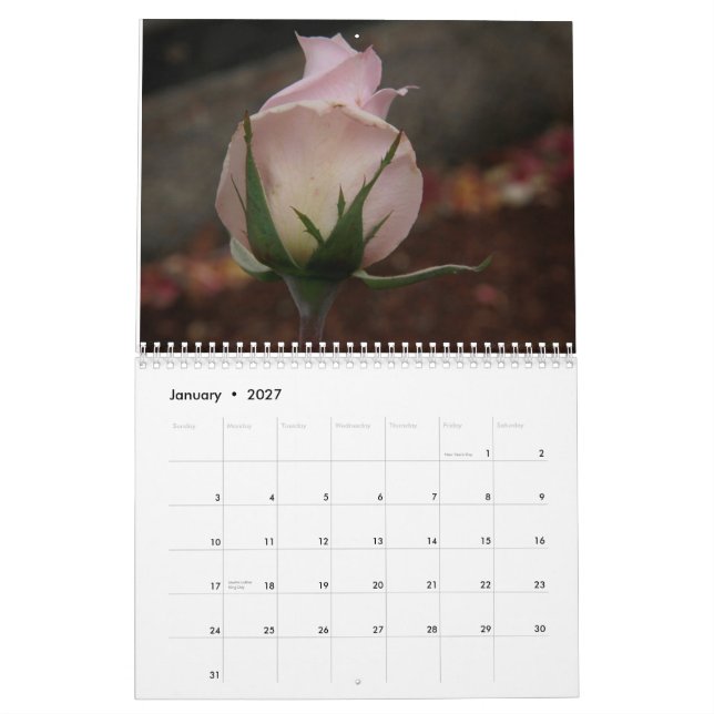 a rose is a rose is a rose calendar for 2014 (Jan 2027)