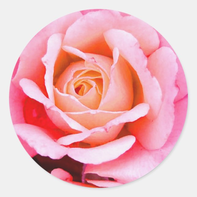 A Rose Is A Rose Sticker (Front)