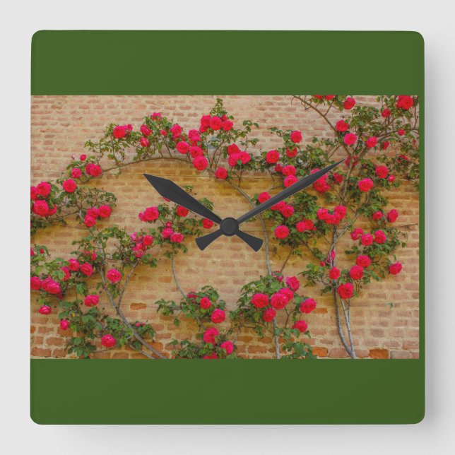 A Roses climb on square wall clock  (Front)