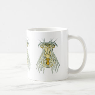 A Rotifer Coffee Mug