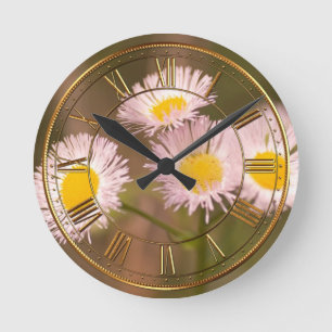 a round clock