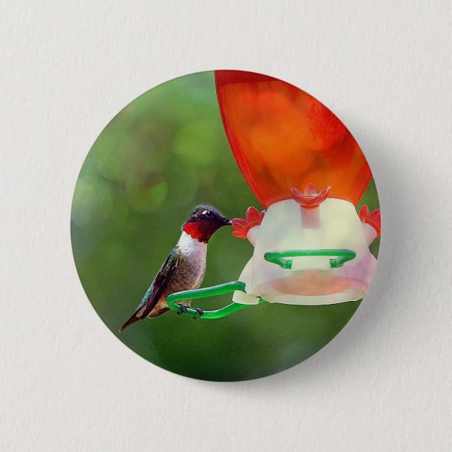A Ruby Throated Hummingbird 2 Inch Round Button (Front)