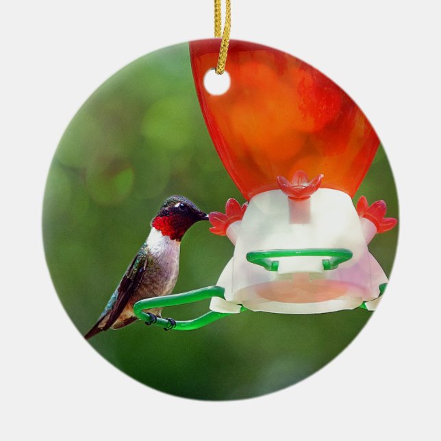 A Ruby Throated Hummingbird Ceramic Ornament (Front)