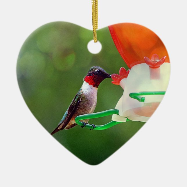 A Ruby Throated Hummingbird Ceramic Ornament (Front)