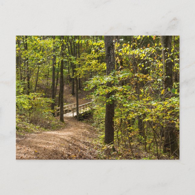 A Runge Pathway Postcard (Front)