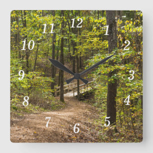 A Runge Pathway Wall Clock