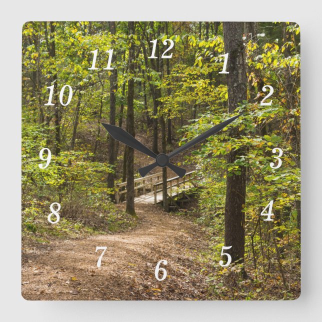 A Runge Pathway Wall Clock (Front)