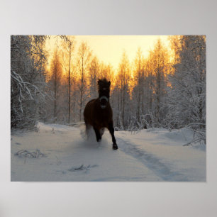 A Running Horse at winter in Finland Poster