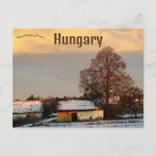 A Rural Scene in Hungary at Dawn Postcard