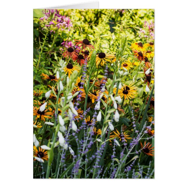 A Rush of Colour (Front)