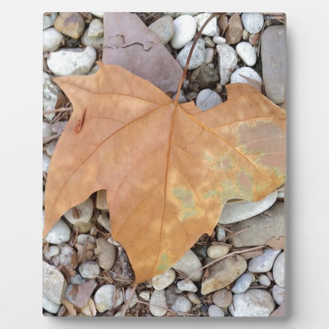 a rusty leaf on pebbles plaque (Front)