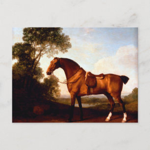 A Saddled Bay Hunter by George Stubbs Postcard