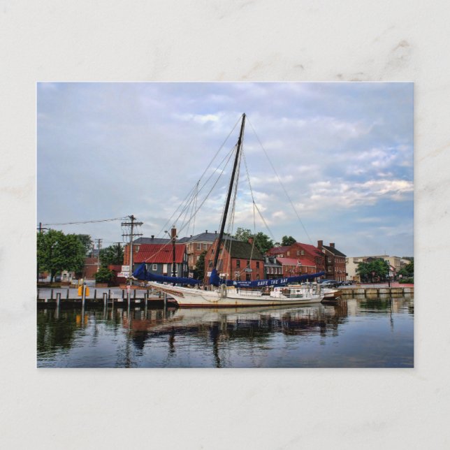 A Sailboat in Annapolis Harbour Postcard (Front)