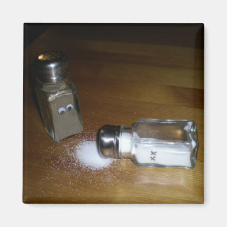A-salt-ed Magnet