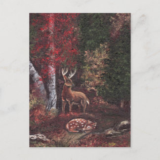 A Sancutary Post Card