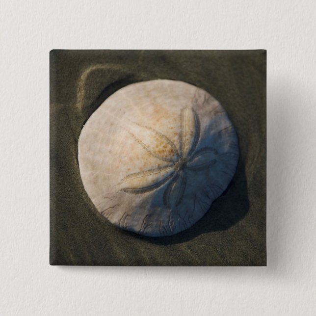 A Sand Dollar On The Beach 2 Inch Square Button (Front)