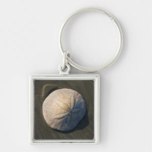 A Sand Dollar On The Beach Keychain
