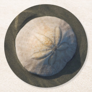 A Sand Dollar On The Beach Round Paper Coaster