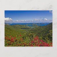 A scenic of Cruse Bay, St. John U.S Virgin
